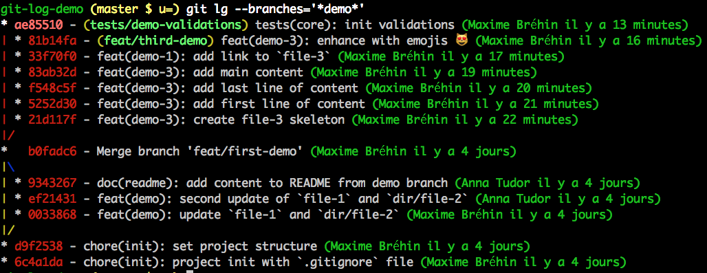 Log des branches locales filtrées par motif de nom