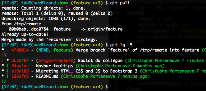 History graph polluted after a git pull