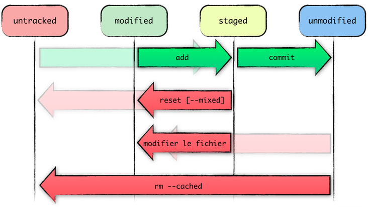 A file can be untracked, unmodified, modified or staged (sometimes both staged and modified, due to partial staging).